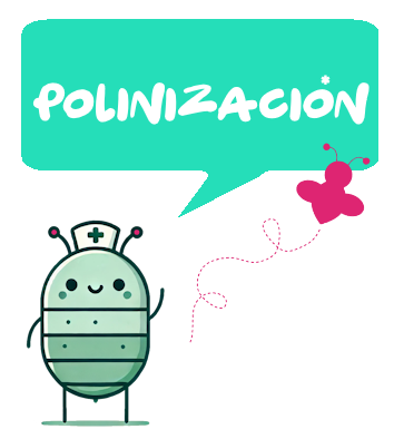Polinización
